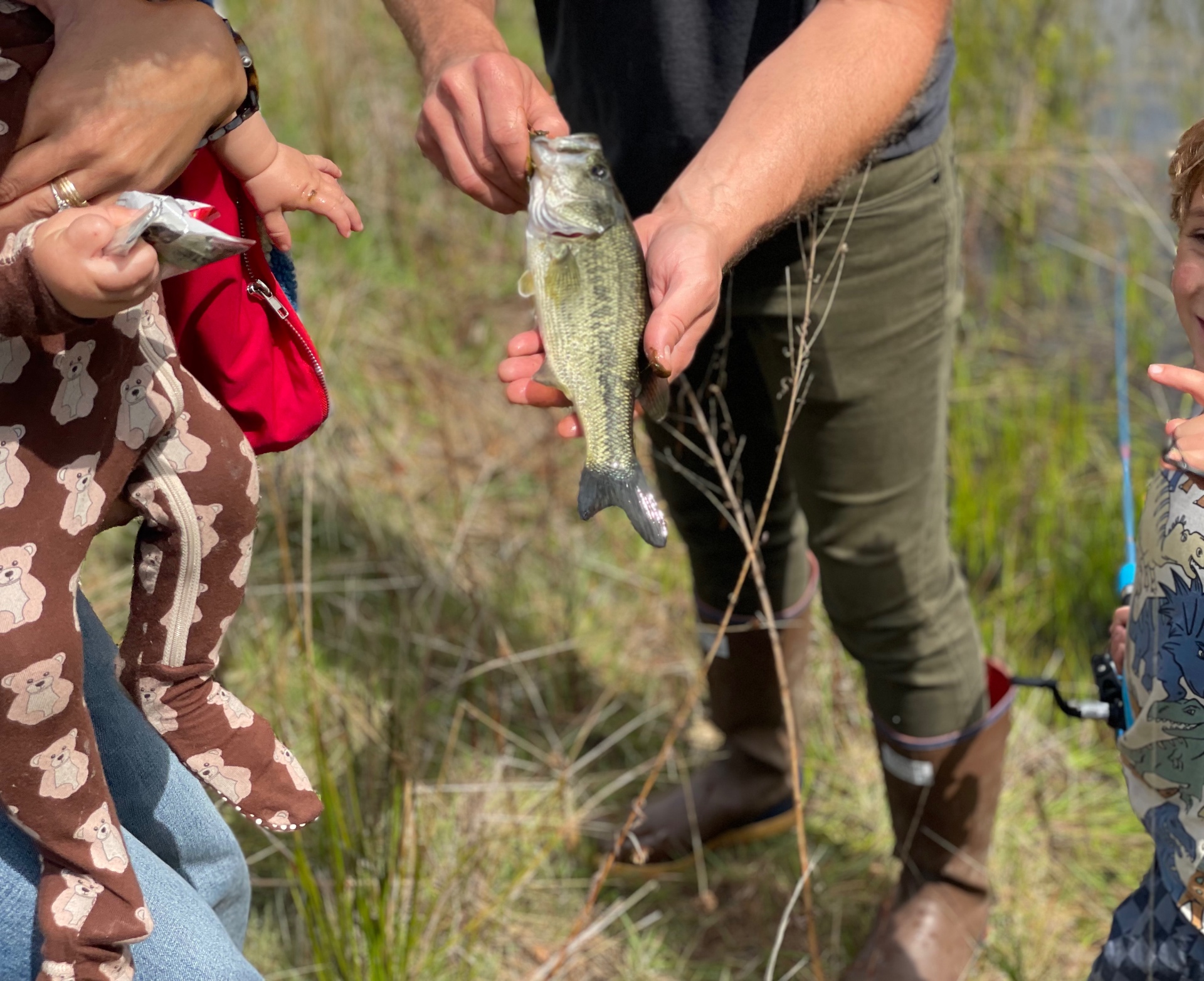 My Experience as a Santa Clara County Parks Teacher Training Instructor: The Classroom Aquarium Education Program