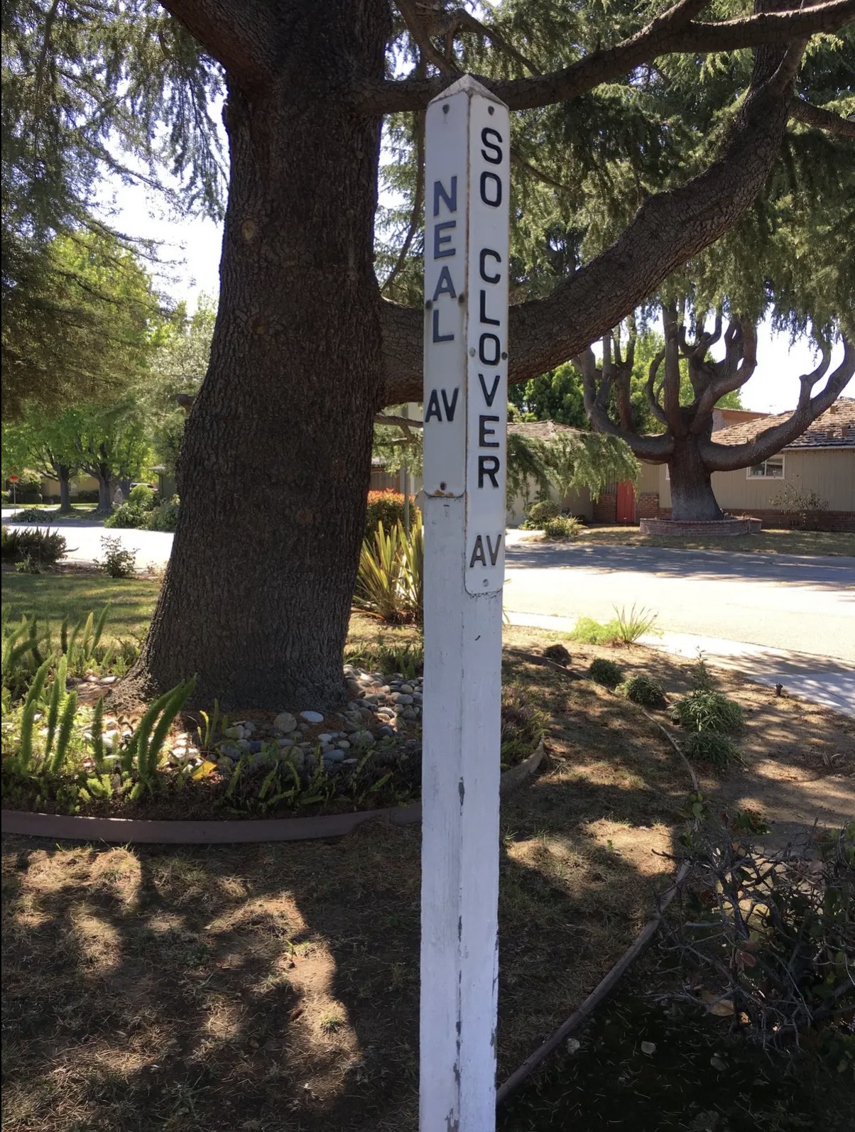 Solutions for Forestry Services in Unincorporated Santa Clara County