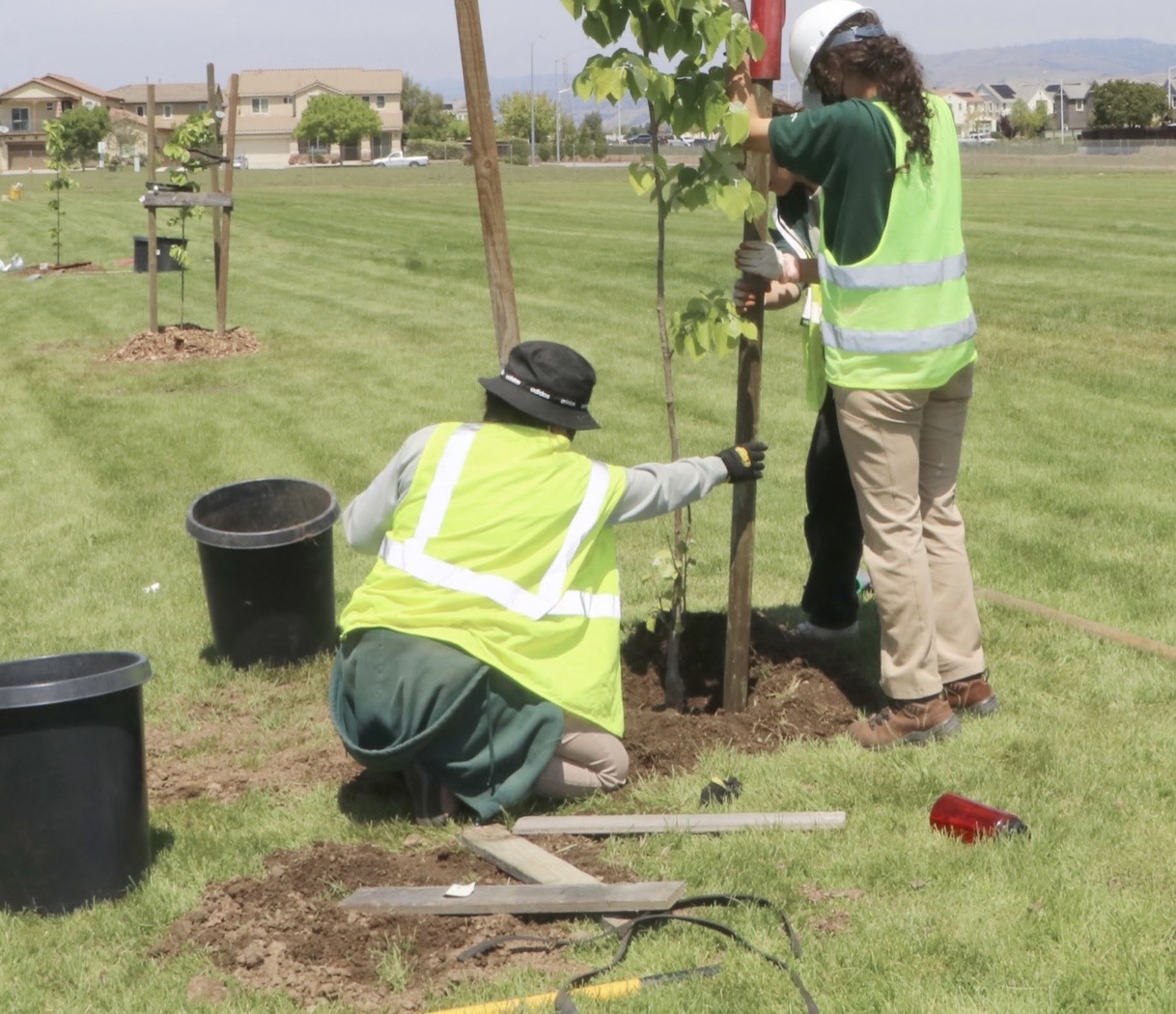 Community Forestry Planting Initiative — Program Lead & Volunteer Coordinator Kyle D. Peczkowski, 2023
