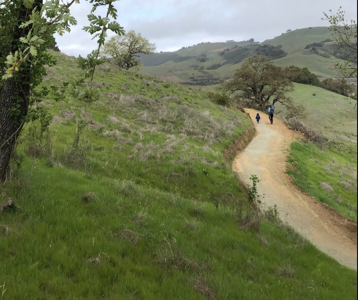 A New Chapter — essay by Kyle D. Peczkowski