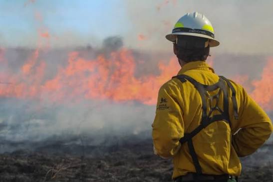 Countywide Prescribed Fire Program — Program Co-Lead & Burn Boss Trainee Kyle D. Peczkowski, 2024