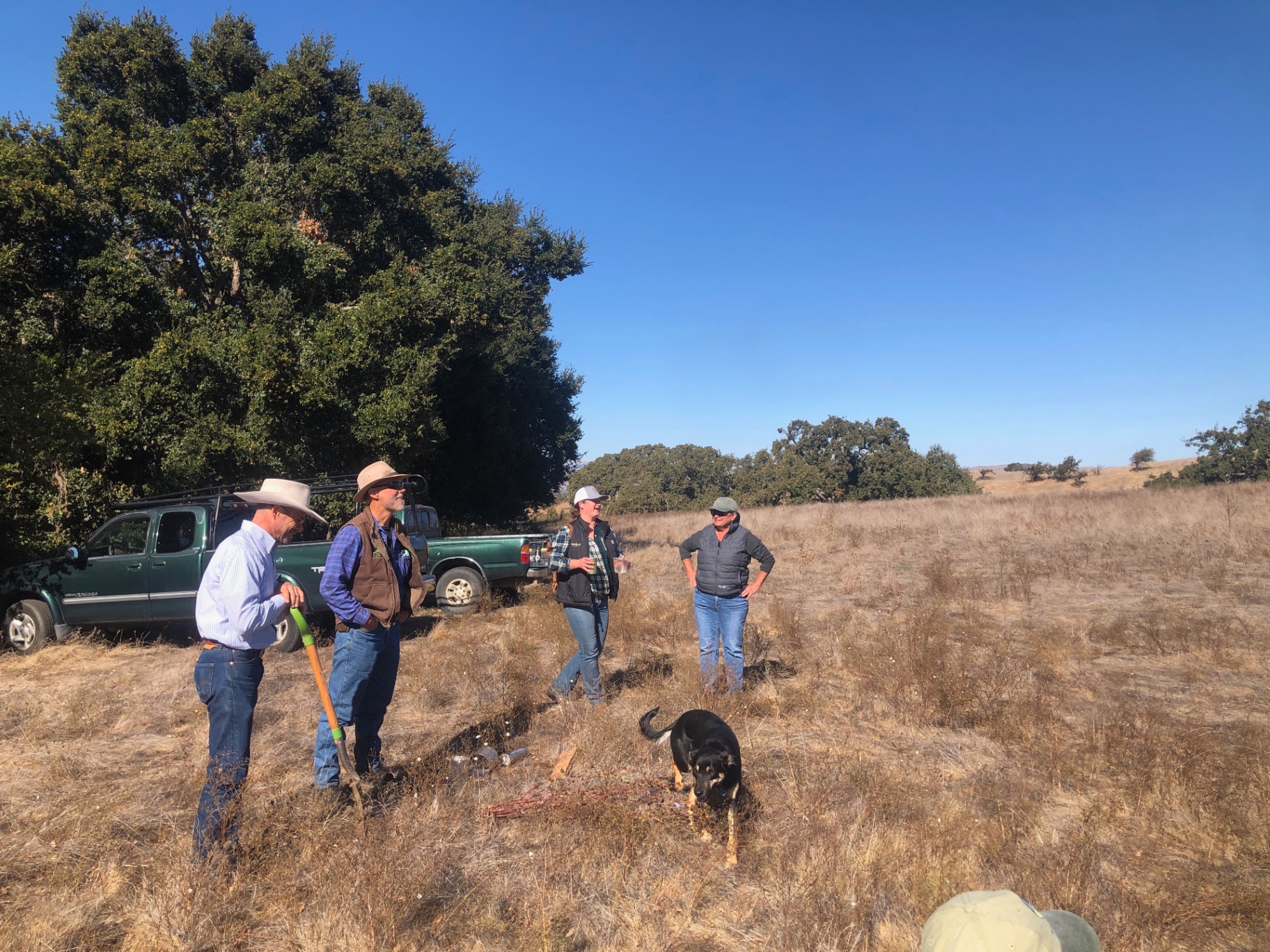 Integrated Pest Management: A Collaborative Approach