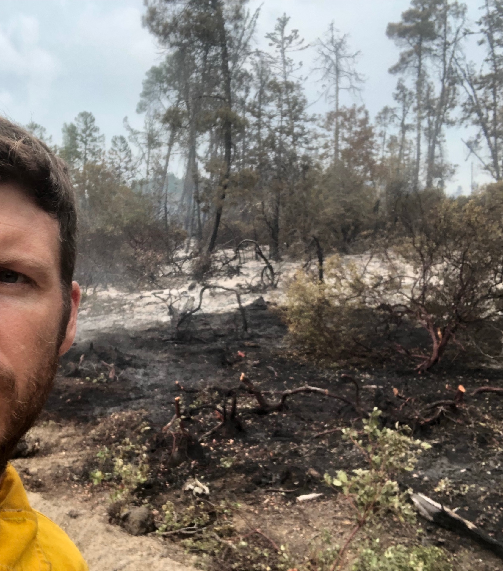 What a Forester Owes a Fire
