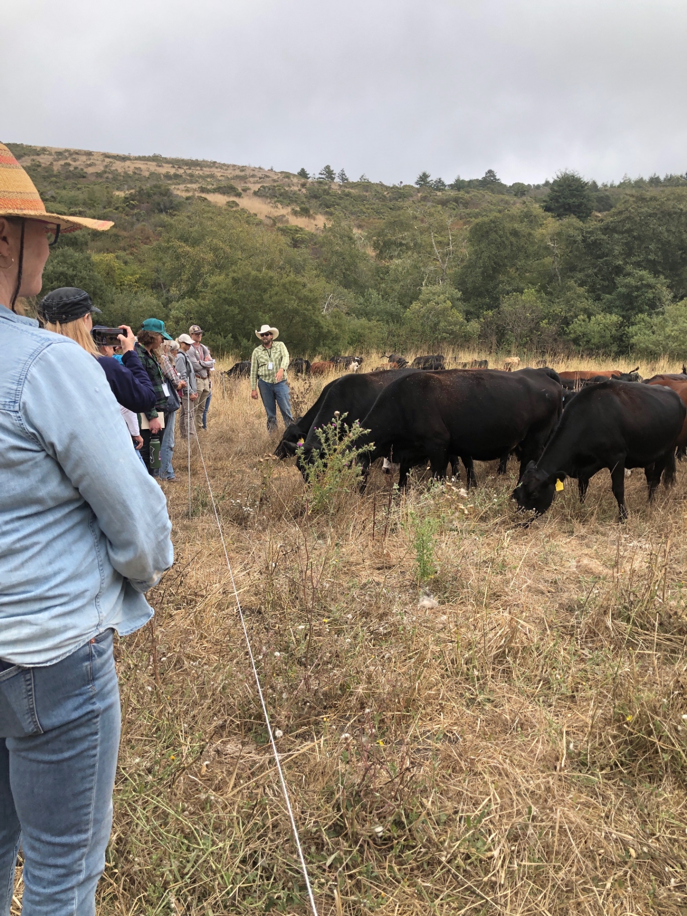 Grazing is IPM and a food system. Why we need to lean in, not back out.