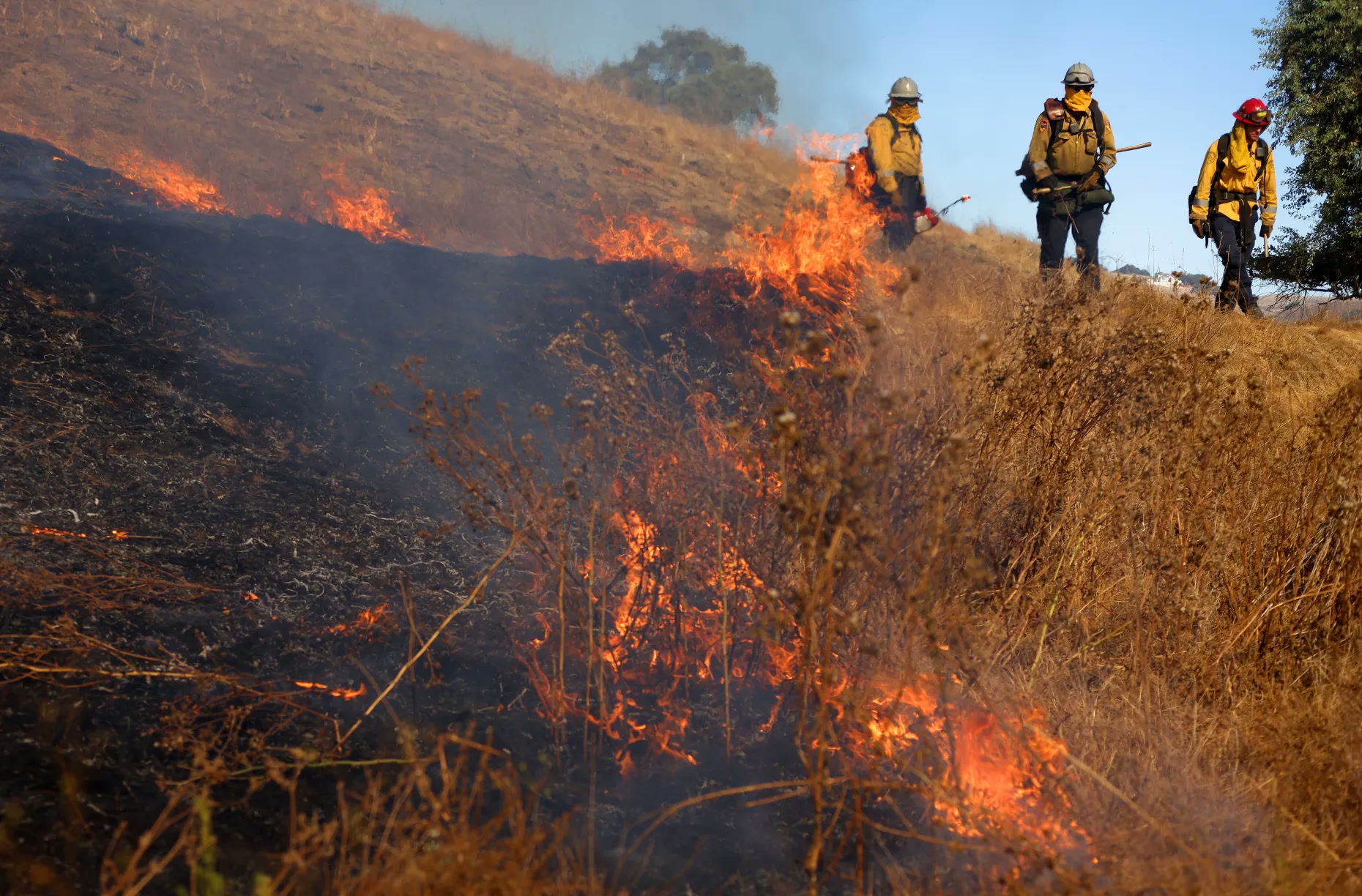 The Coordination Behind a Good Burn