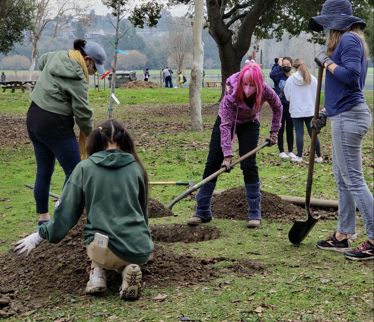 Tree Planting Events: When Virtue Signaling Replaces Urban Forestry