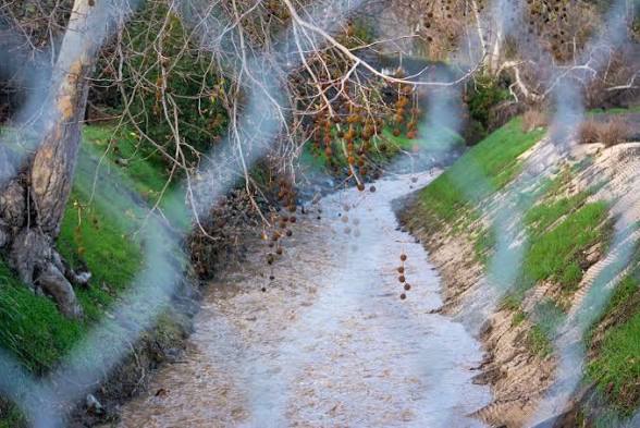 Coyote Creek Watershed Health Assessment — Technical Lead Kyle D. Peczkowski, 2022