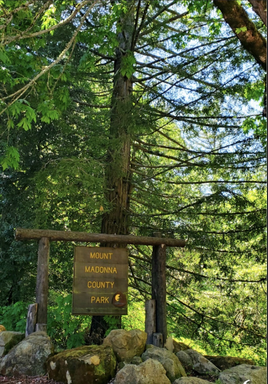 Mount Madonna Forest Health Plan — Principal Author & Field Lead Kyle D. Peczkowski, 2024
